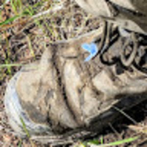 Meet your Posher, Jesse